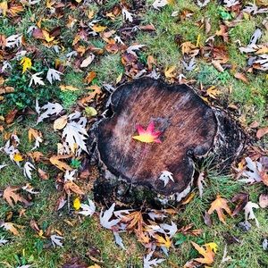 Meet your Posher, Terri